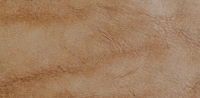Unlocking the Secrets of Kangaroo Leather