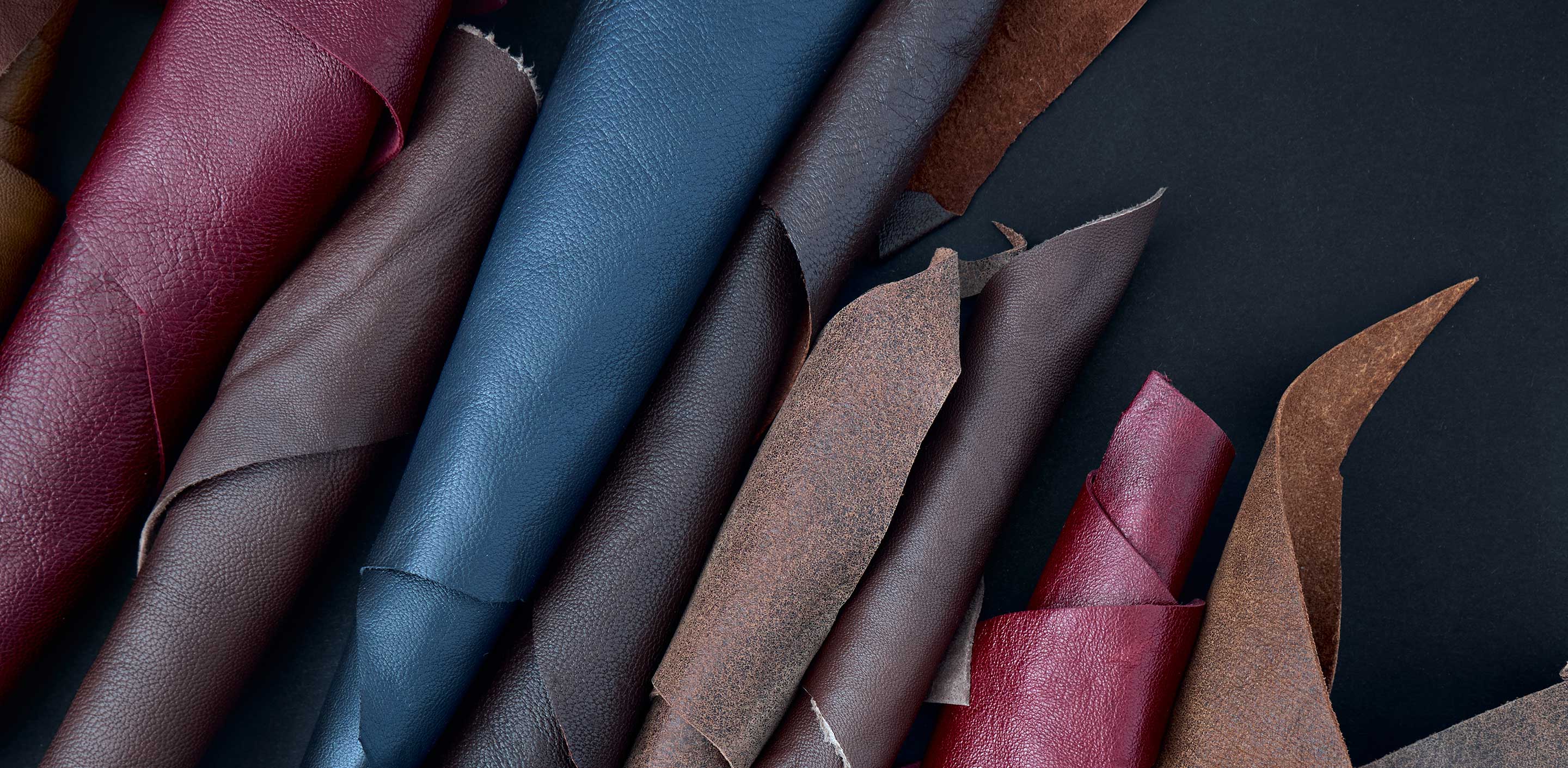 Exploring Leather: 14 Hidden Gems | Leather Jacket Master