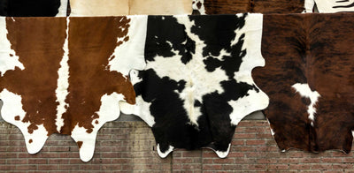 What is Calfskin? Is it Better Than Other Types of Leather?
