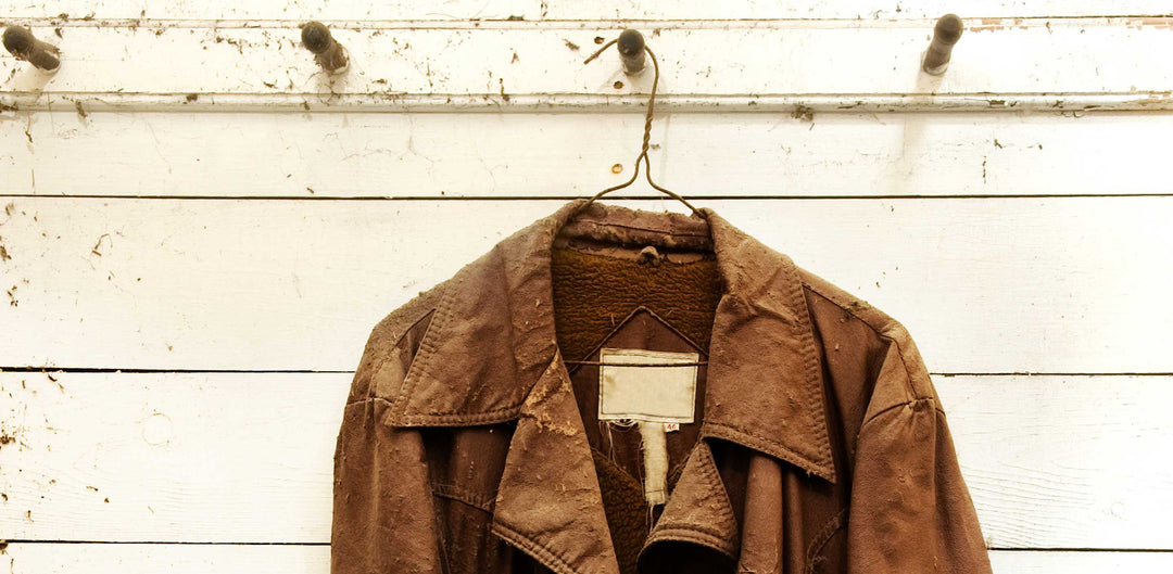 Remove Mold From Leather